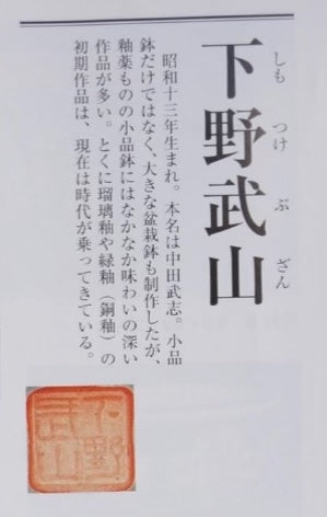 Shinano Takayama Fine Small Nanban Japanese Pot