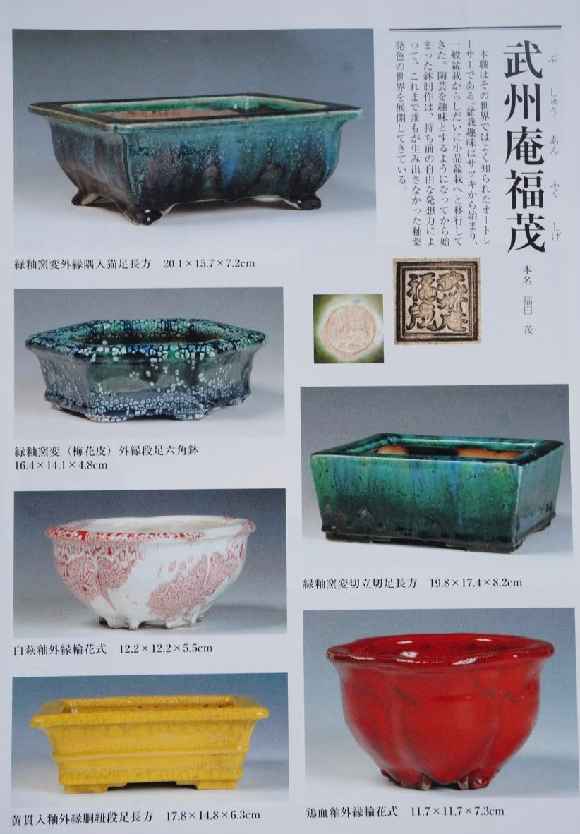 Fukuda Shigeru Early Work by Bukusho-An Fukumitsu Japanese Bonsai Pot