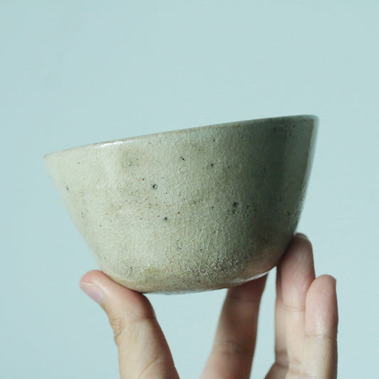 Wide shallow bowl in speckled sage green, held in a hand against a pale blue ground.
