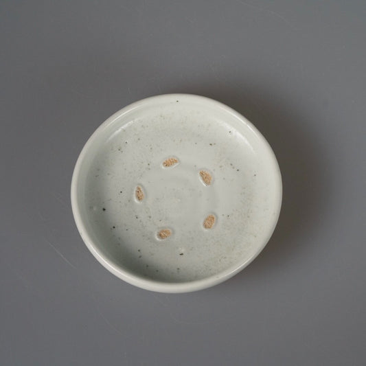 Shallow white porcelain plate seen from above, scattered with small amber firing marks.