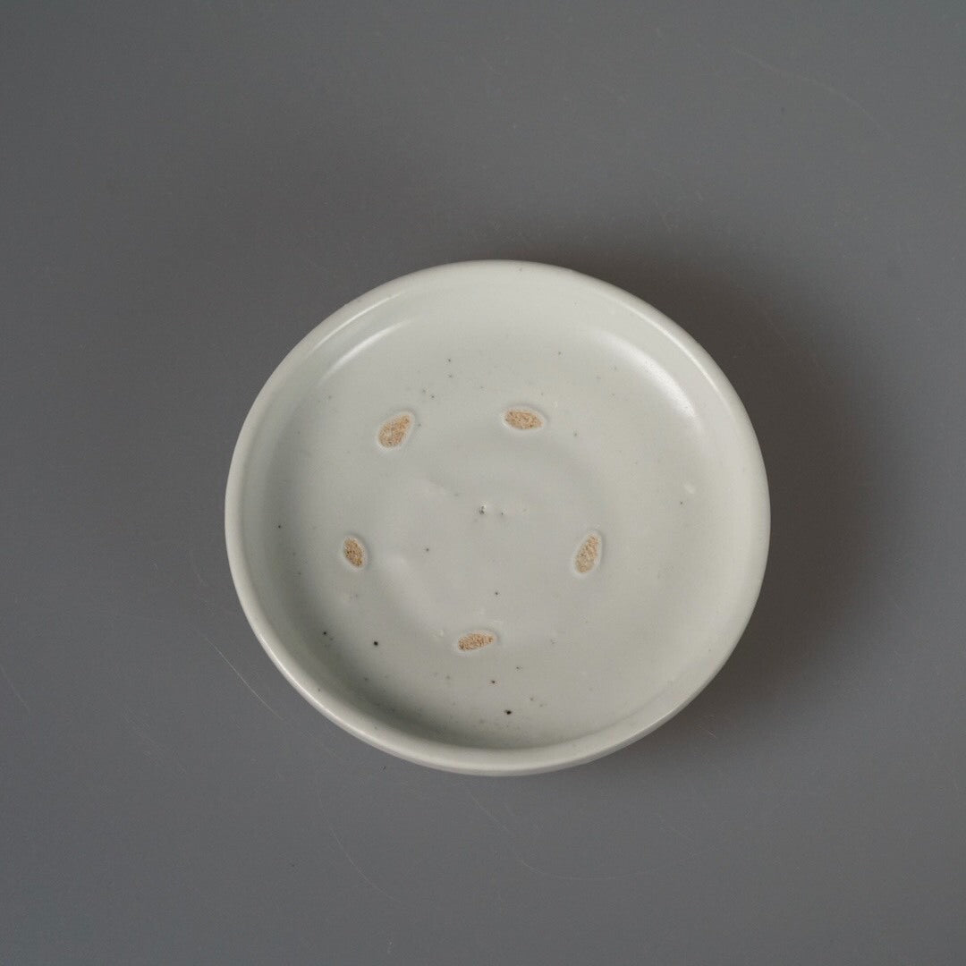Shallow white porcelain plate seen from above, marked with small amber firing spots.