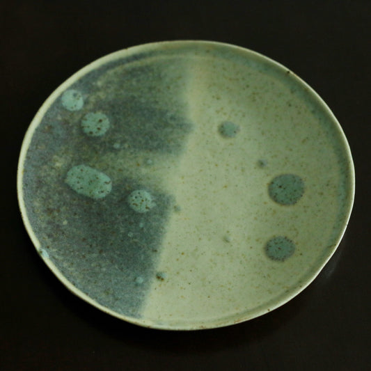 Round plate in speckled sage green, half in shadow, dotted with darker green spots.