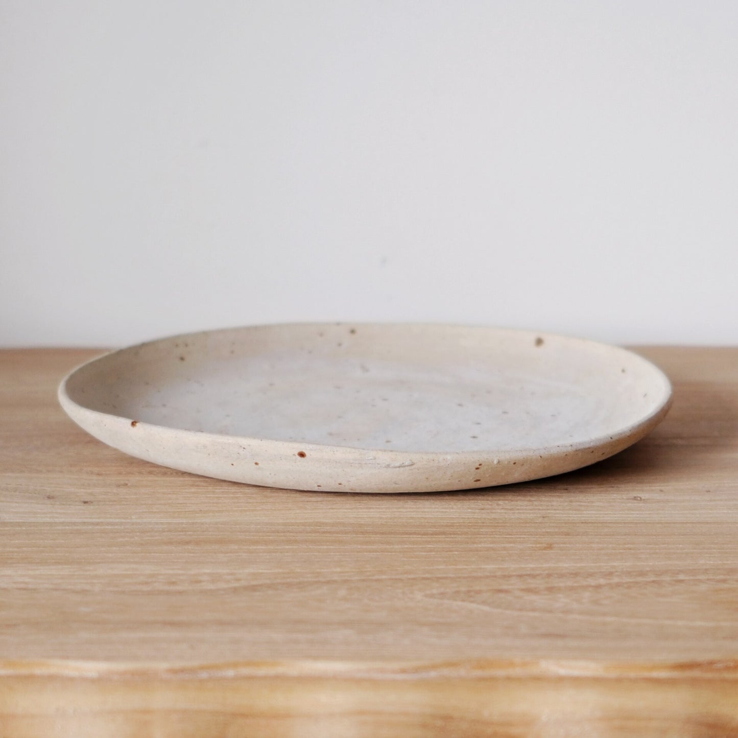 Tomomi Mizutani round plate / dinner plate / main-course plate / flat plate — 23 cm, 2.5 cm high