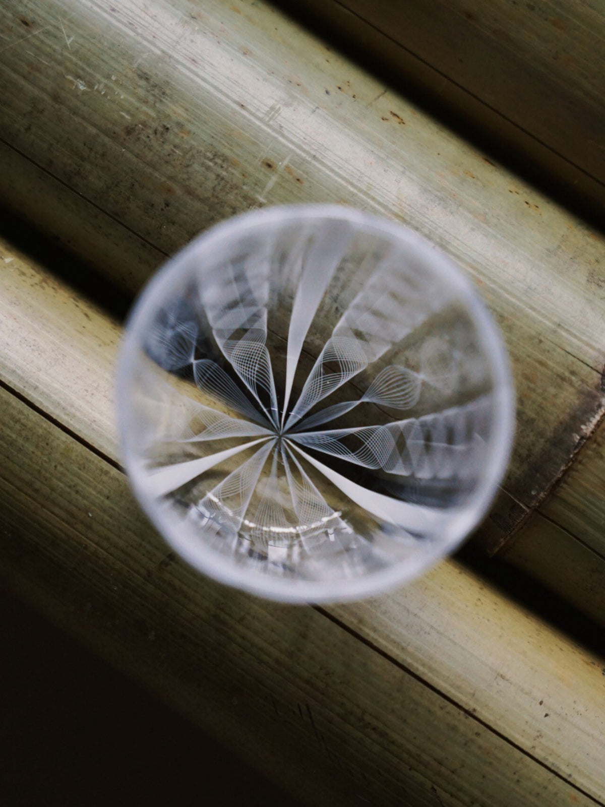 Ito Taichi white lace round cup