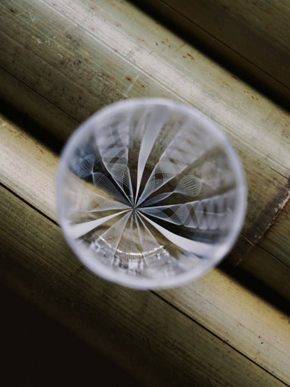 Ito Taichi white lace round cup
