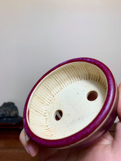 Horie Mikata Shinsha Copper-Red Glaze Kiln-Transmuted Oval Japanese Flower Pot