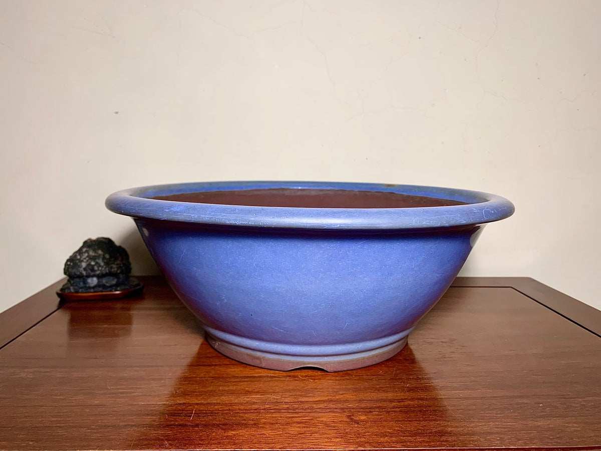 A wide, deep blue glazed pot with a smooth, rounded rim sits on a wooden surface.