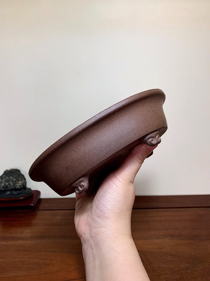 A hand holds a matte brown ceramic bonsai pot with three small feet and a slightly curved rim.