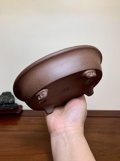 Ichi-Kou Shidei Outer Rim Cloud Feet Oval Japanese Bonsai Pot