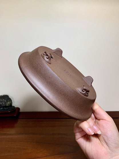 Ichi-Kou Shidei Outer Rim Cloud Feet Oval Japanese Bonsai Pot