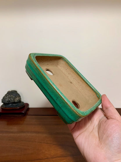 Cloth-Textured Glaze, Middle Band, Rectangular Maple Tree Pot by Yamafusa