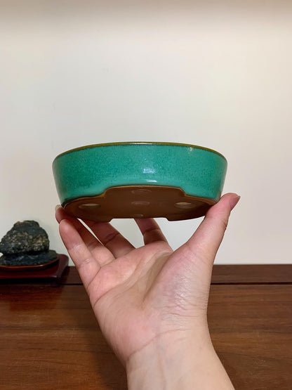 Green Glaze Kiln-Transmuted Oval Maple Tree Pot by Yamafusa