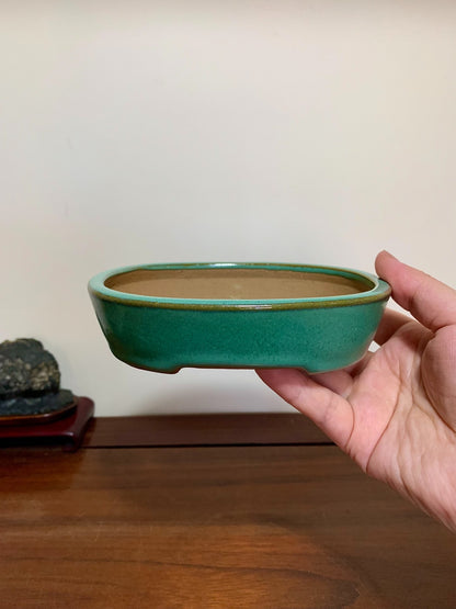 Green Glaze Kiln-Transmuted Oval Maple Tree Pot by Yamafusa