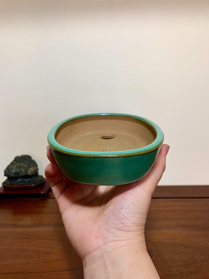 Green Glaze Kiln-Transmuted Oval Maple Tree Pot by Yamafusa