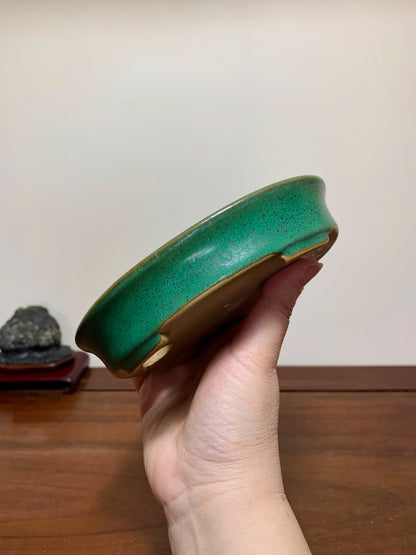 Cloth-Textured Glaze, Oval Outer Rim, Maple Tree Pot by Yamafusa