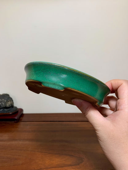Cloth-Textured Glaze, Oval Outer Rim, Maple Tree Pot by Yamafusa