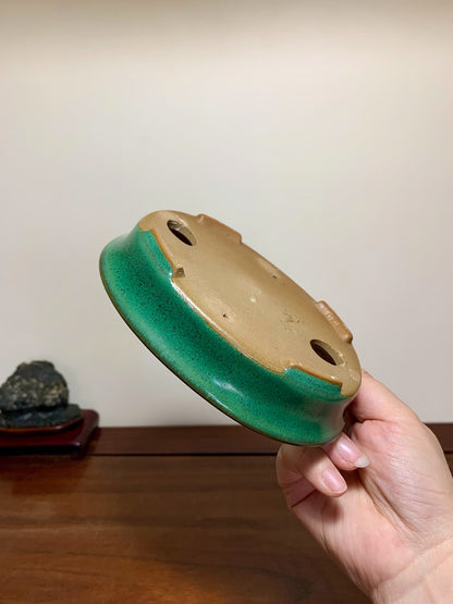 Cloth-Textured Glaze, Oval Outer Rim, Maple Tree Pot by Yamafusa