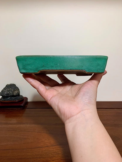 A hand holds a small, rectangular, glossy green glazed pot with a brown rim.