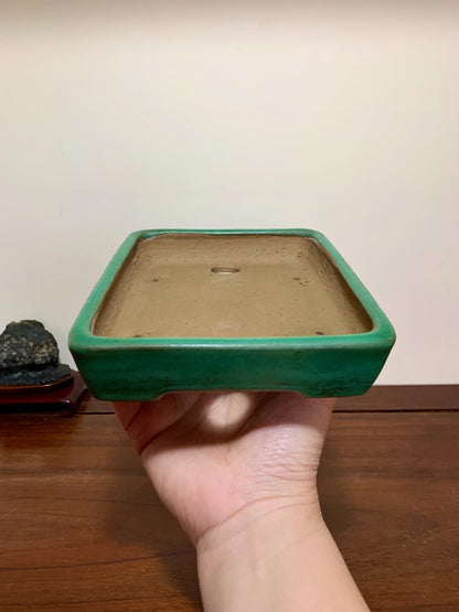 Cloth-Textured Glaze, Cut-Foot Rectangular Maple Tree Pot by Yamafusa