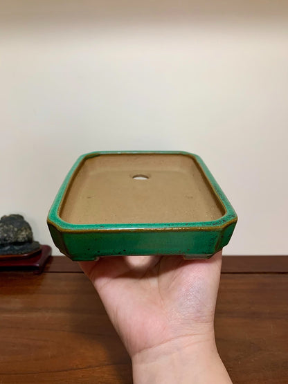 Cloth-Textured Glaze, Cut-Corner Rectangular Maple Tree Pot by Yamafusa