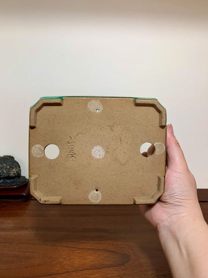 Cloth-Textured Glaze, Cut-Corner Rectangular Maple Tree Pot by Yamafusa