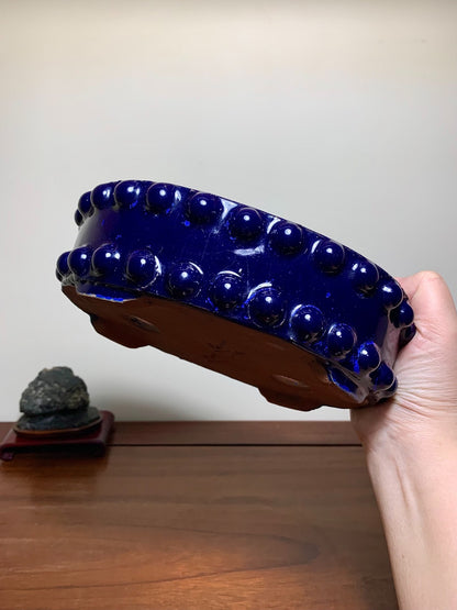 Ruri Blue Glaze Double-Studded Oval Japanese Bonsai Pot by Shuufu