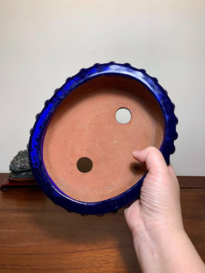 Ruri Blue Glaze Double-Studded Oval Japanese Bonsai Pot by Shuufu