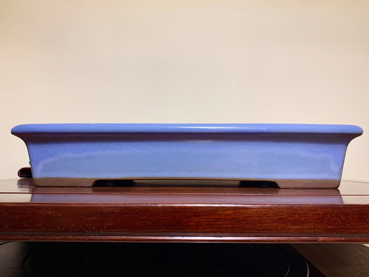 A glossy, rectangular blue glazed pot with a dark brown rim and two drainage holes.