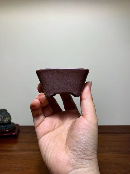 A hand holds a small, dark brown, matte-finished ceramic pot with a wide rim and low sides.