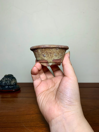 Tani Motohisa Hand-Pinched Round Pot with Outer Rim