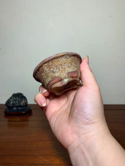 Tani Motohisa Hand-Pinched Round Pot with Outer Rim