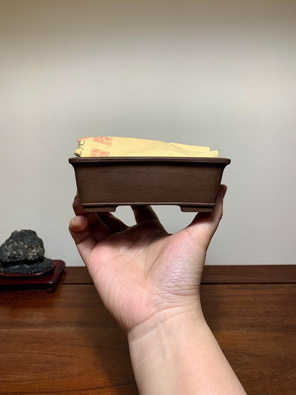 A hand holds a small, dark brown, rectangular glazed bonsai pot with a yellow paper label.