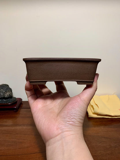 Shinko Ryūen Shidei Outer Rim Lower Band Cut Feet Rectangular Japanese Flower Pot