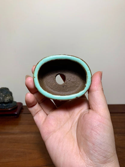 Green Glaze Studded Small Oval Japanese Bonsai Pot by Shuufu