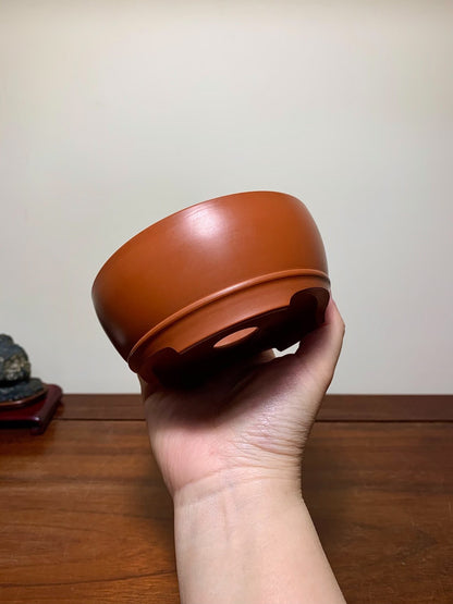 A hand holds a glossy, terracotta-brown ceramic pot with a wide rim and three drainage holes.