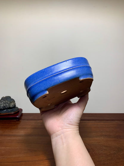 Blue Glaze Mid-Band Rectangular Maple Tree Pot by Riho