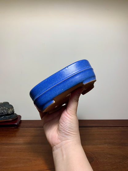 Blue Glaze Mid-Band Rectangular Maple Tree Pot by Riho