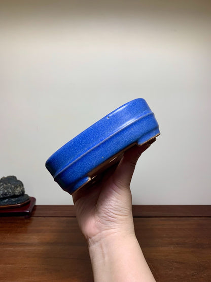 Blue Glaze Mid-Band Rectangular Maple Tree Pot by Riho