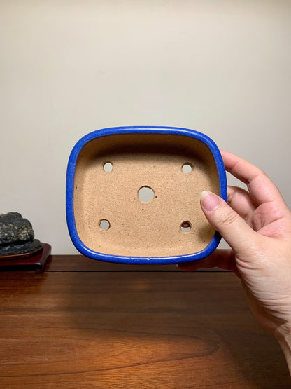 Blue Glaze Mid-Band Rectangular Maple Tree Pot by Riho