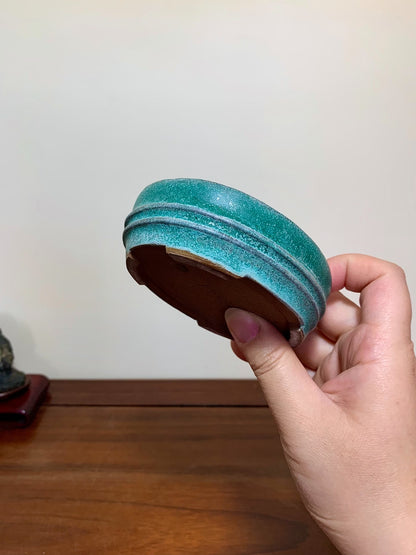 Oohashi Kōsei Classic Green Glaze Double-Band Oval Maple Pot