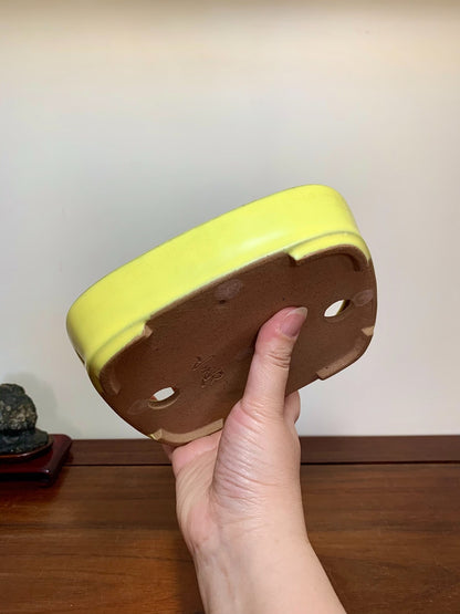 Yellow-Glazed Lower-Band Rectangular Maple Tree Pot by Yamafusa
