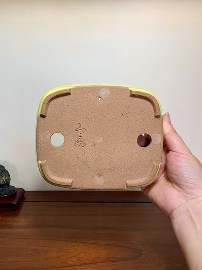 Yellow-Glazed Lower-Band Rectangular Maple Tree Pot by Yamafusa