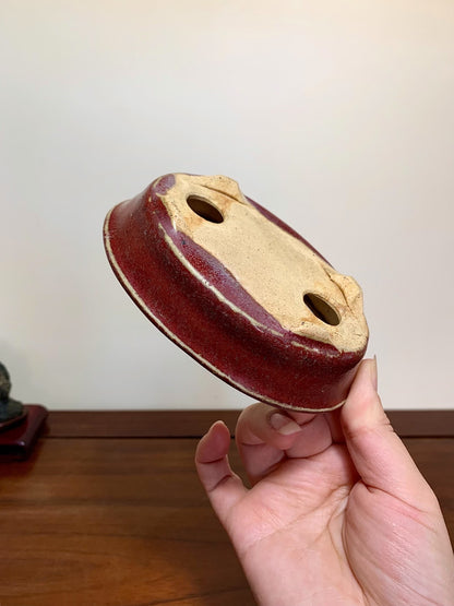 Shinsha Copper-Red Glaze Oval Maple Tree Pot by Yūji