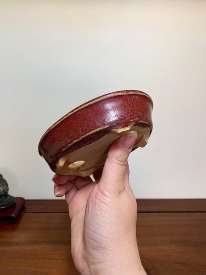Shinsha Copper-Red Glaze Oval Maple Tree Pot by Yūji