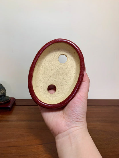 Shinsha Copper-Red Glaze Oval Maple Tree Pot by Yūji