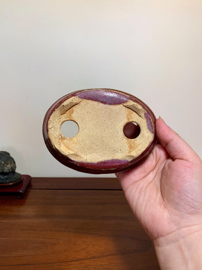 Shinsha Copper-Red Glaze Oval Maple Tree Pot by Yūji
