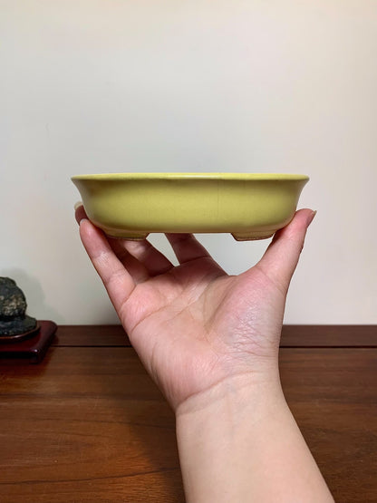 A hand holds a small, shallow, pale yellow glazed ceramic pot with a smooth, rounded rim.