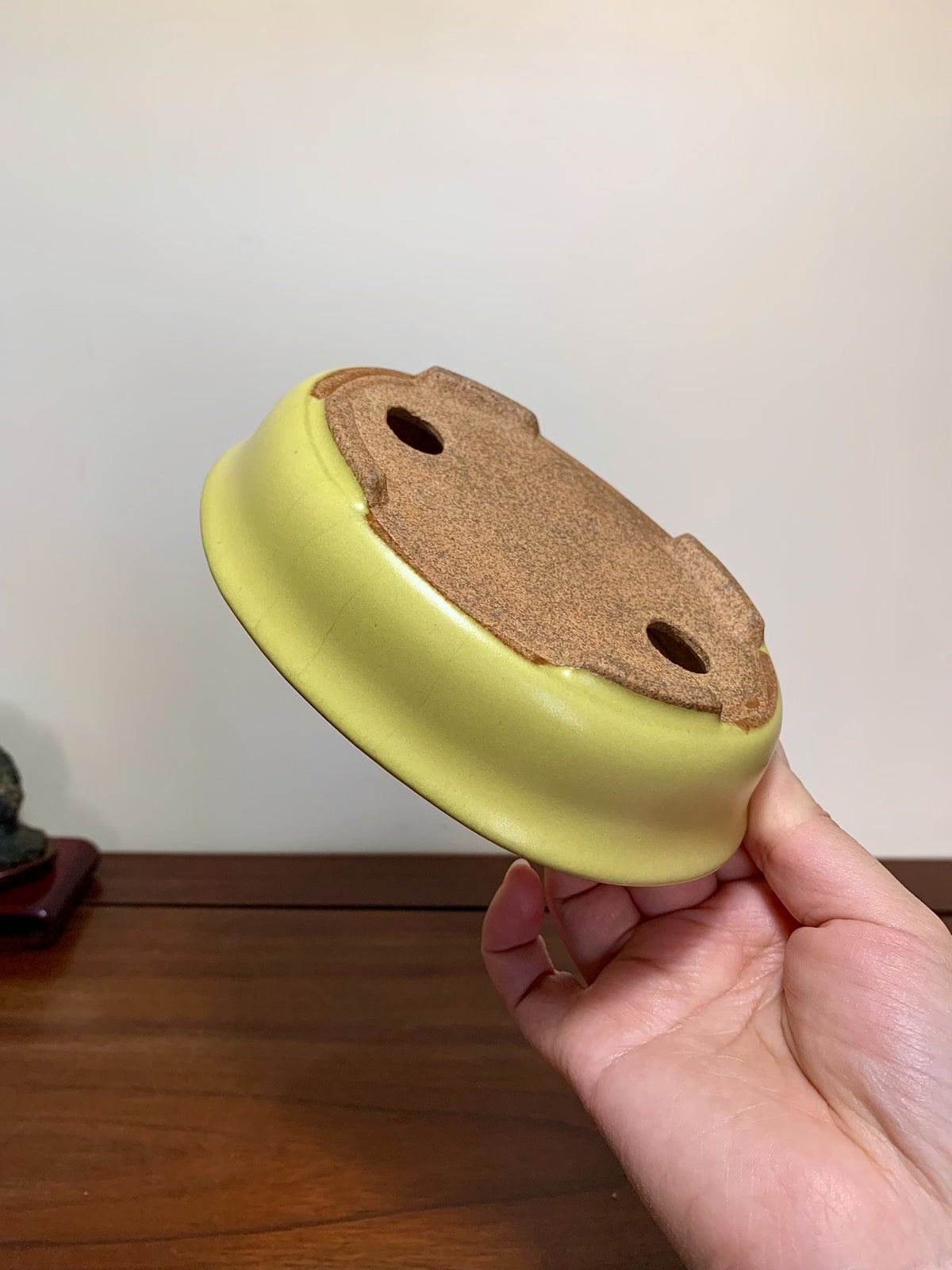 Yellow Glaze Outer Rim Oval Maple Tree Pot by Hattori