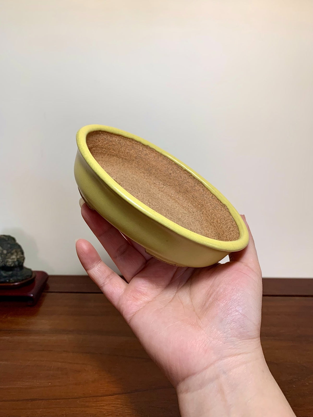 Yellow Glaze Outer Rim Oval Maple Tree Pot by Hattori