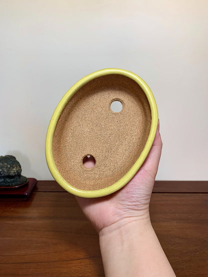 Yellow Glaze Outer Rim Oval Maple Tree Pot by Hattori